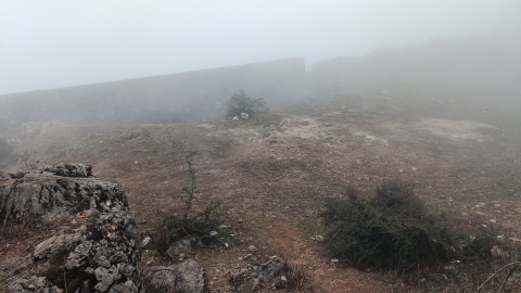 小白腊山顶