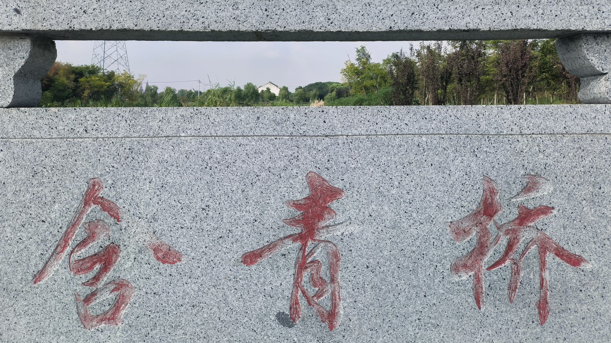 泰兴市东郊森林公园旅行图片 3