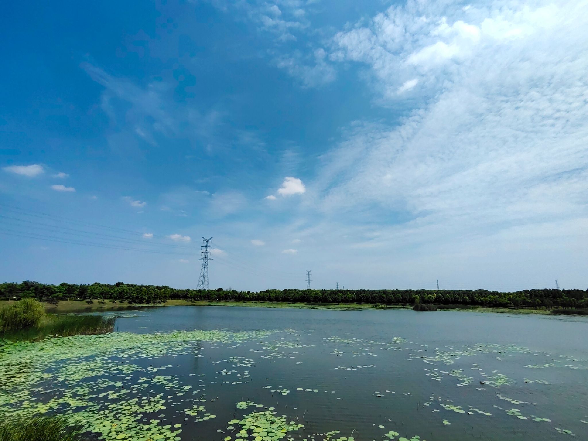 泰兴市东郊森林公园旅行图片 2