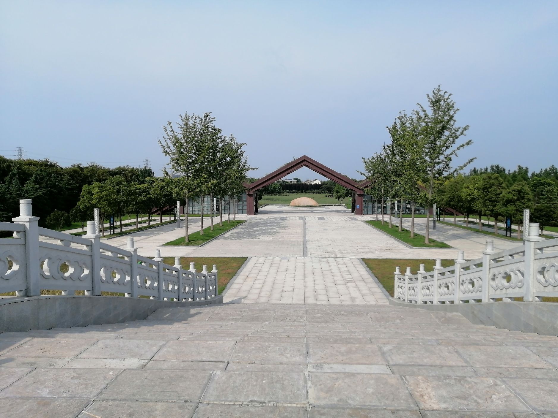 泰兴市东郊森林公园旅行图片 1