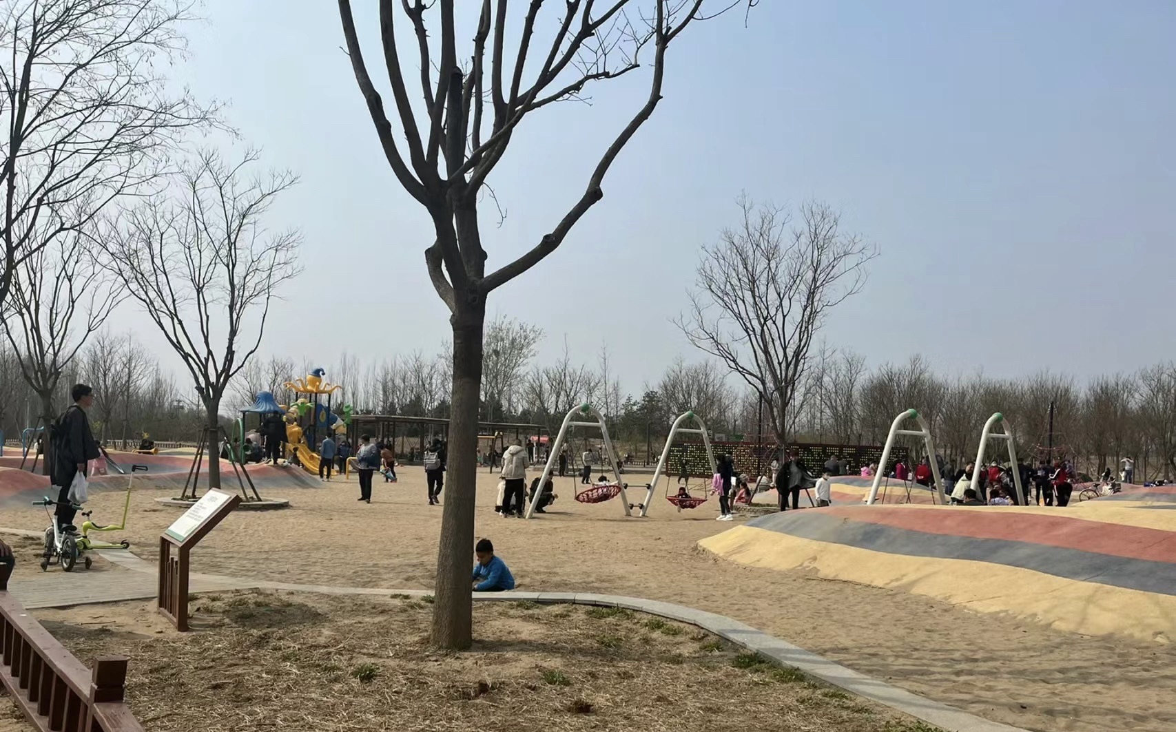 泰兴市东郊森林公园旅行图片 3