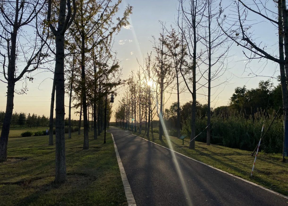 泰兴市东郊森林公园旅行图片 3