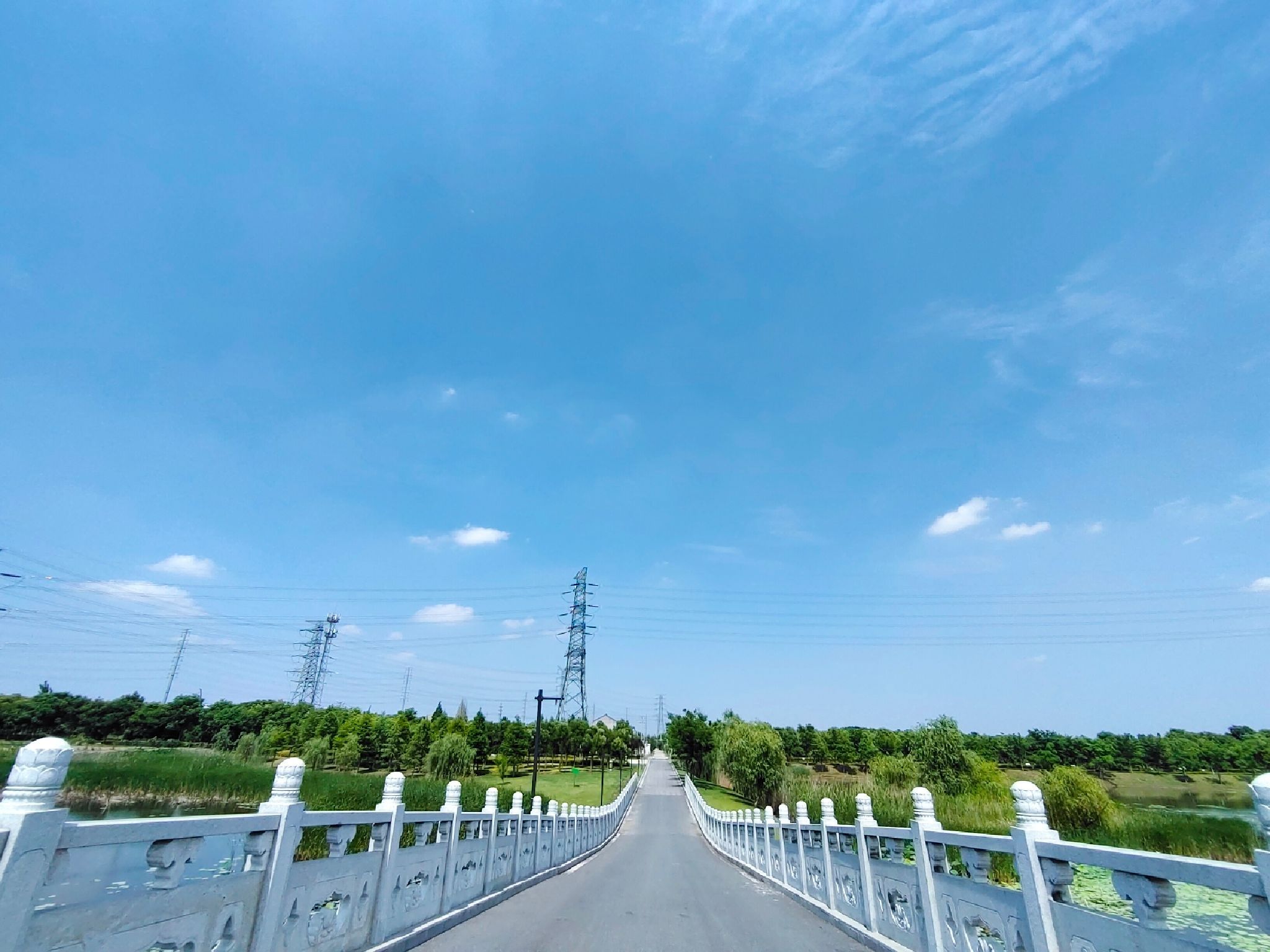 泰兴市东郊森林公园旅行图片 1