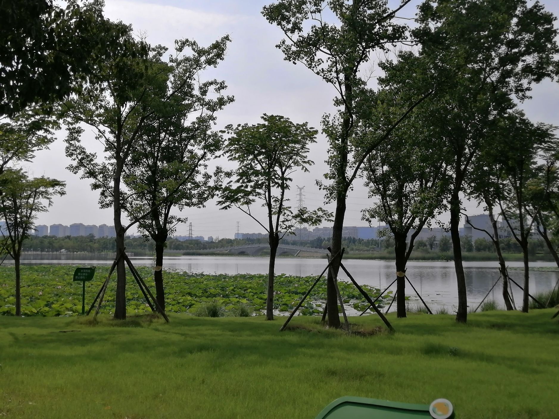 泰兴市东郊森林公园旅行图片 3