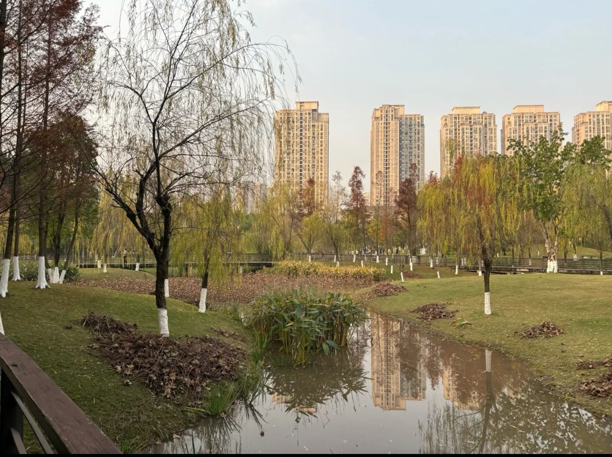 城北湿地公园旅行图片 2