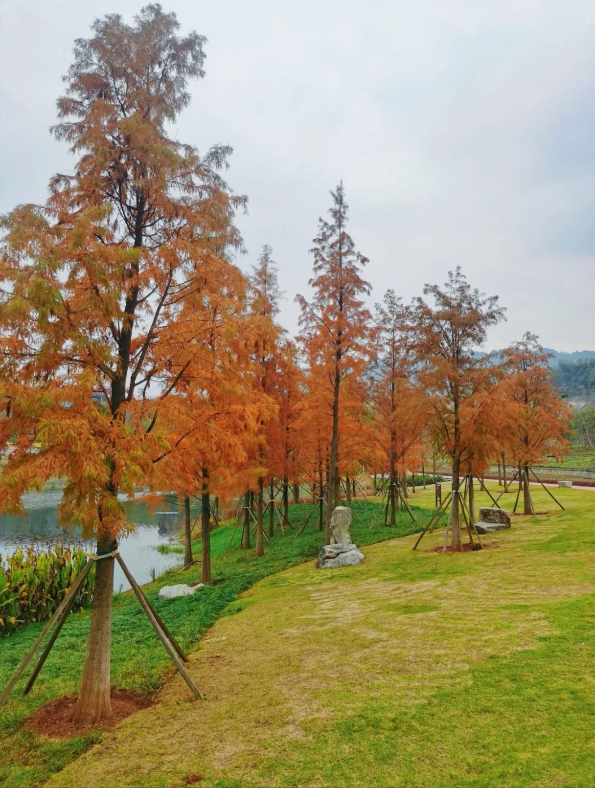 城北湿地公园旅行图片 3