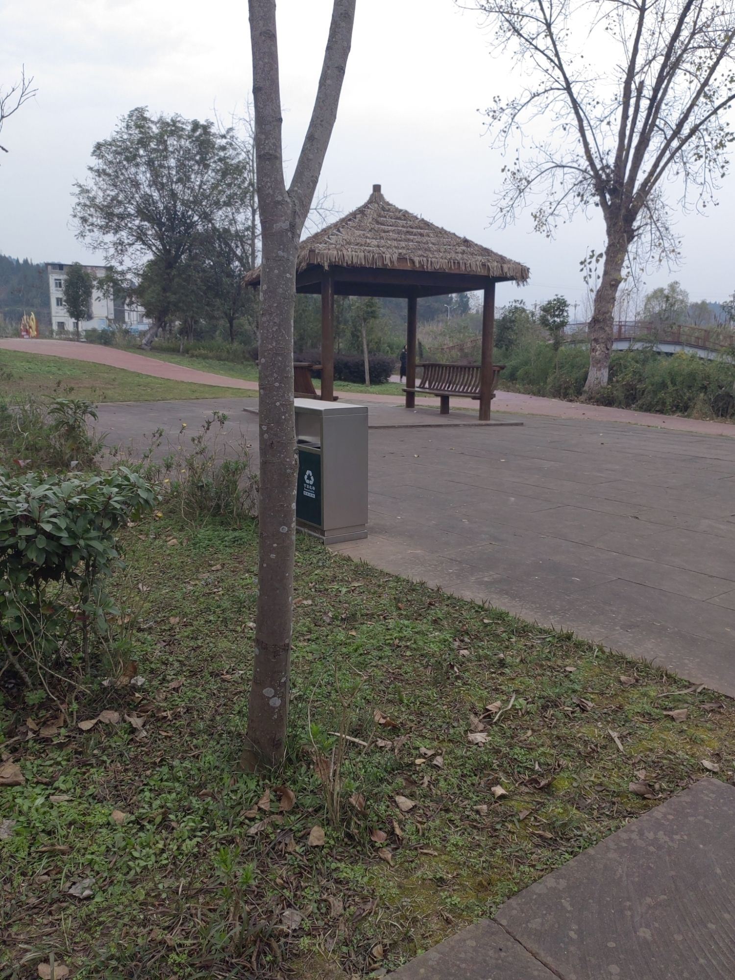 城北湿地公园旅行图片 2