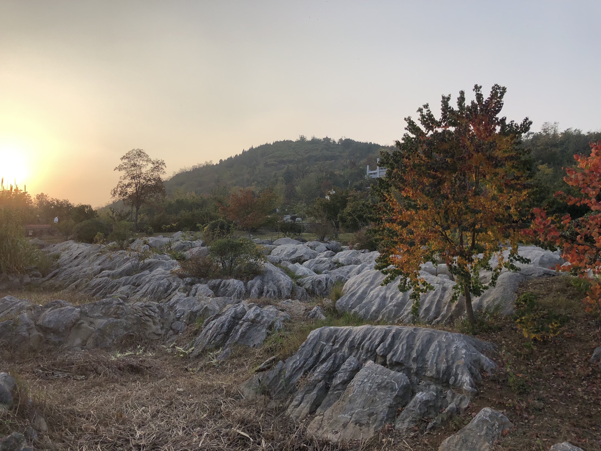 佛手山公园旅行图片 2