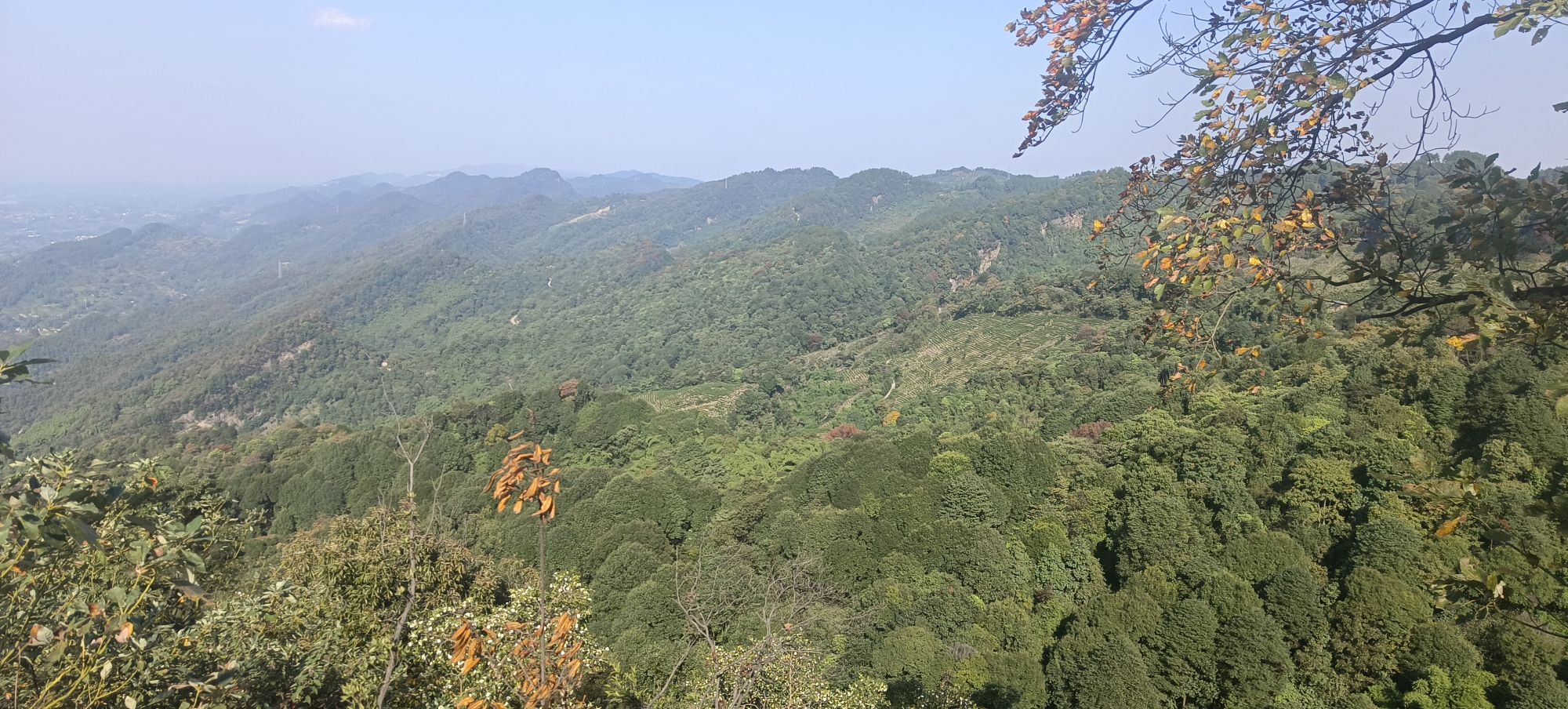 达州·大竹·云峰茶谷AAA旅游景区旅行图片 1