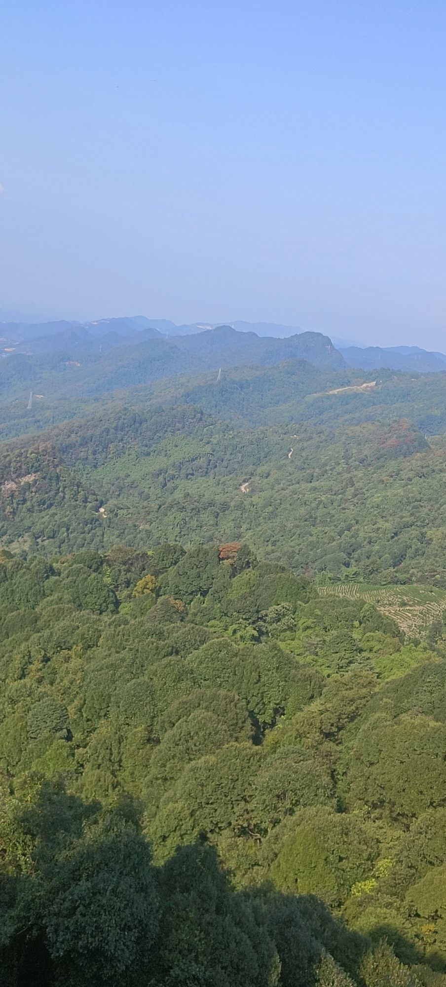 达州·大竹·云峰茶谷AAA旅游景区旅行图片 2