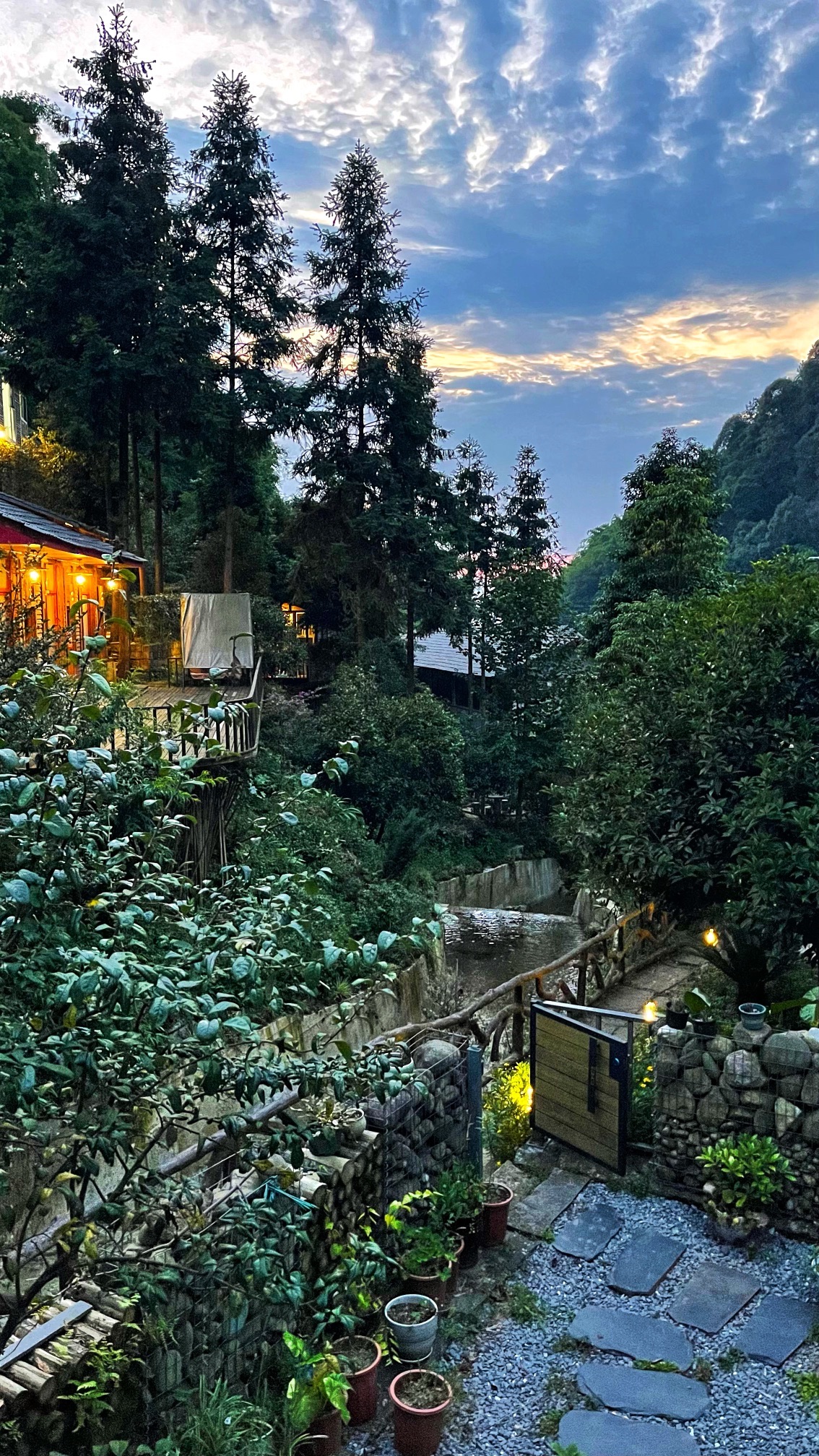 达州·大竹·云峰茶谷AAA旅游景区旅行图片 3
