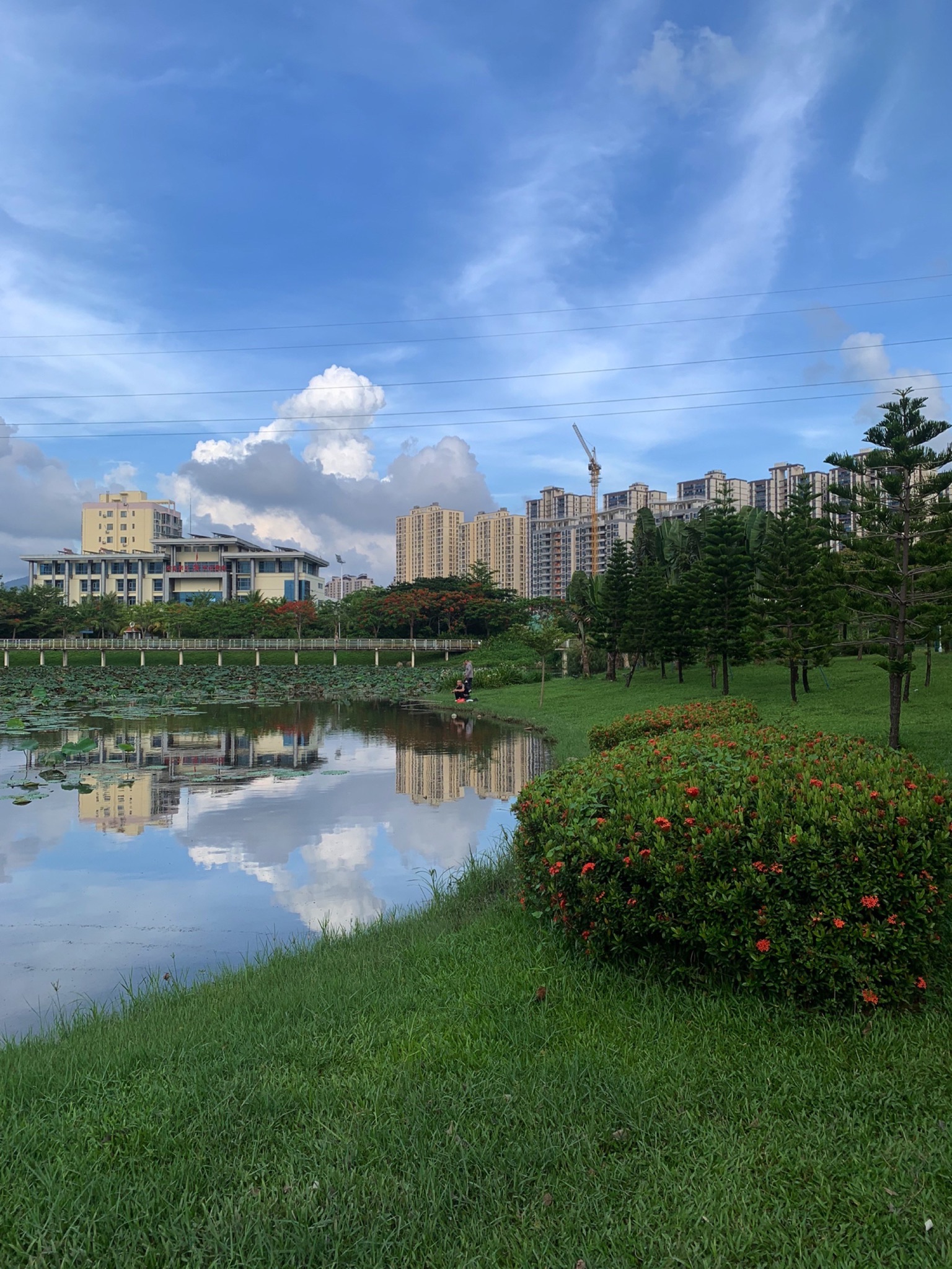 抱坡溪湿地公园旅行图片 1