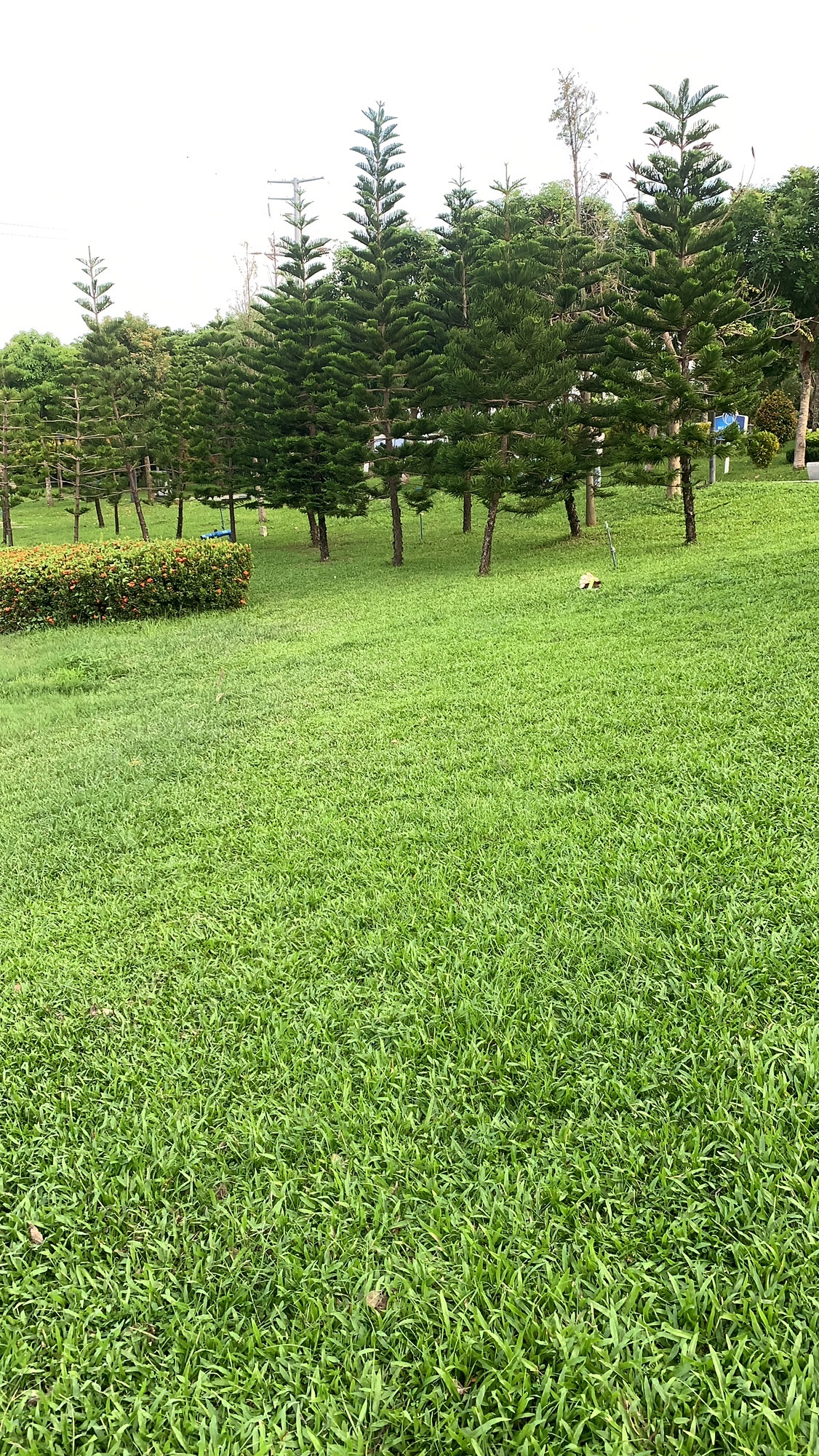 抱坡溪湿地公园旅行图片 2