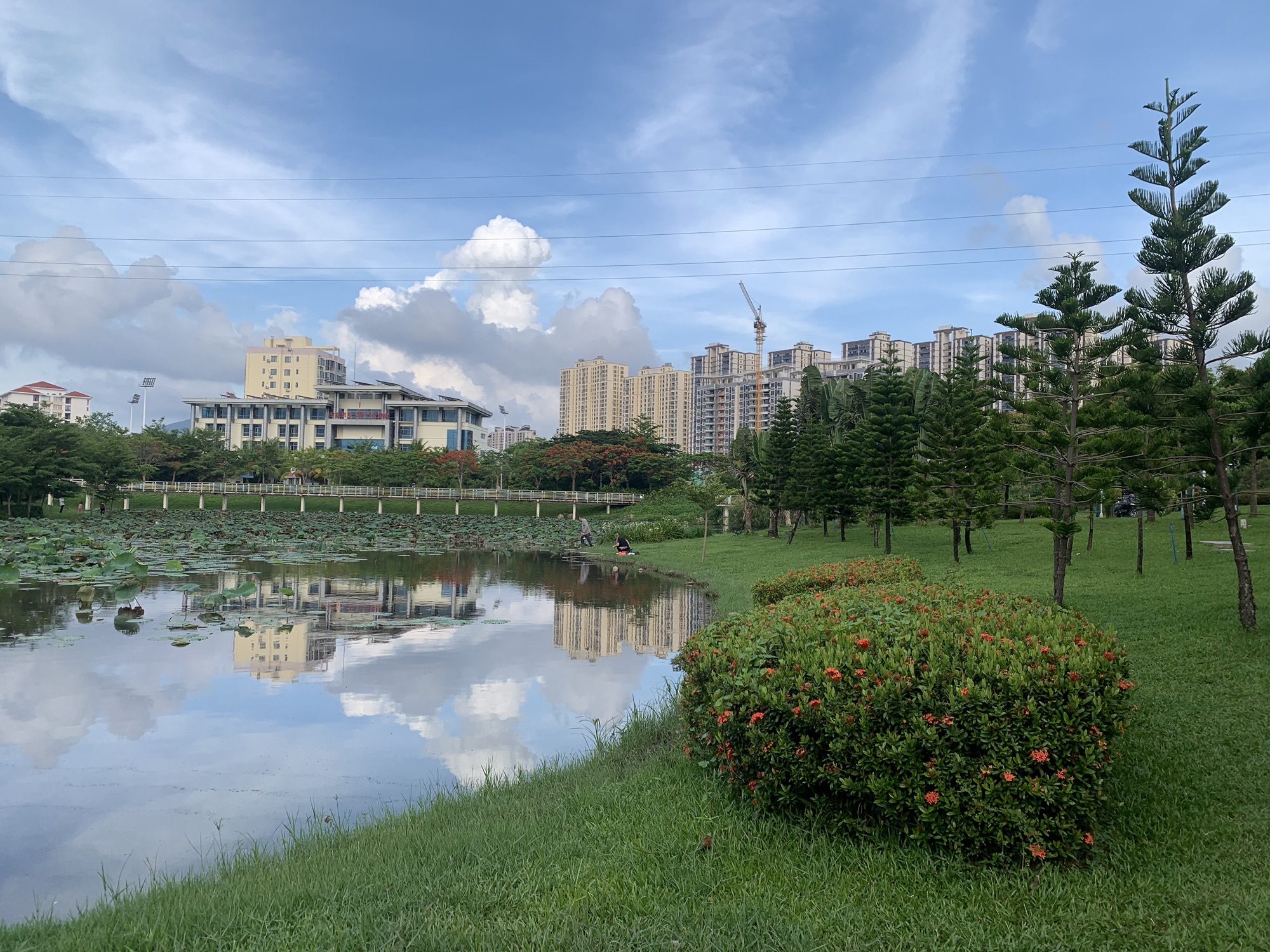 抱坡溪湿地公园旅行图片 3