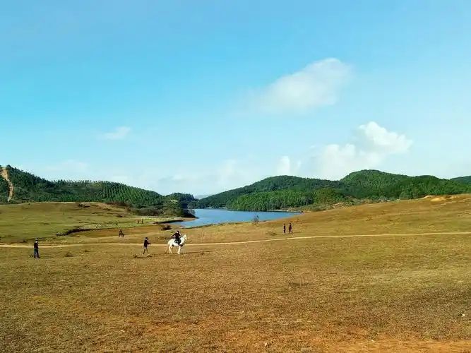 水北大草原旅行图片 2