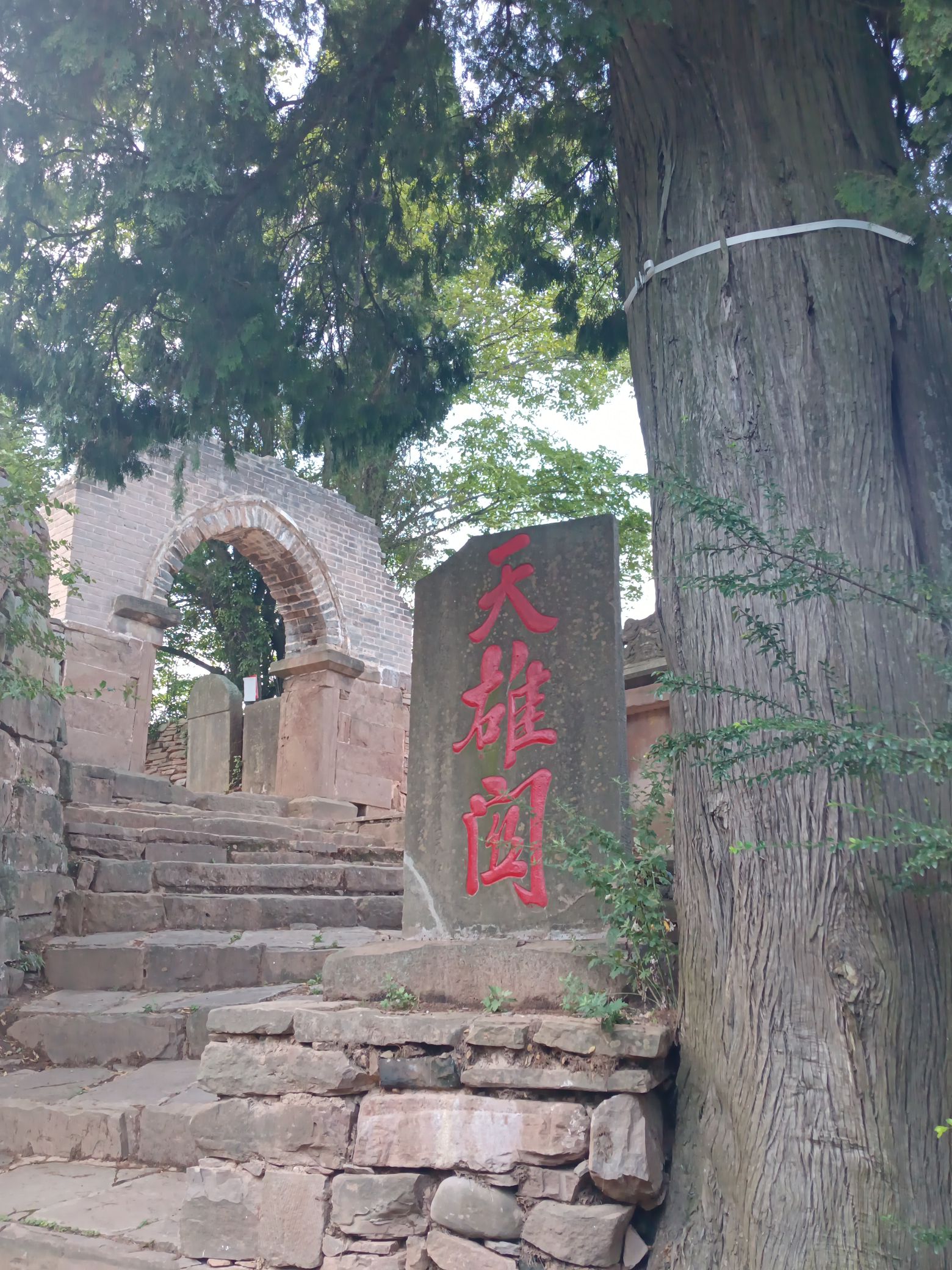 天雄观旅行图片 1