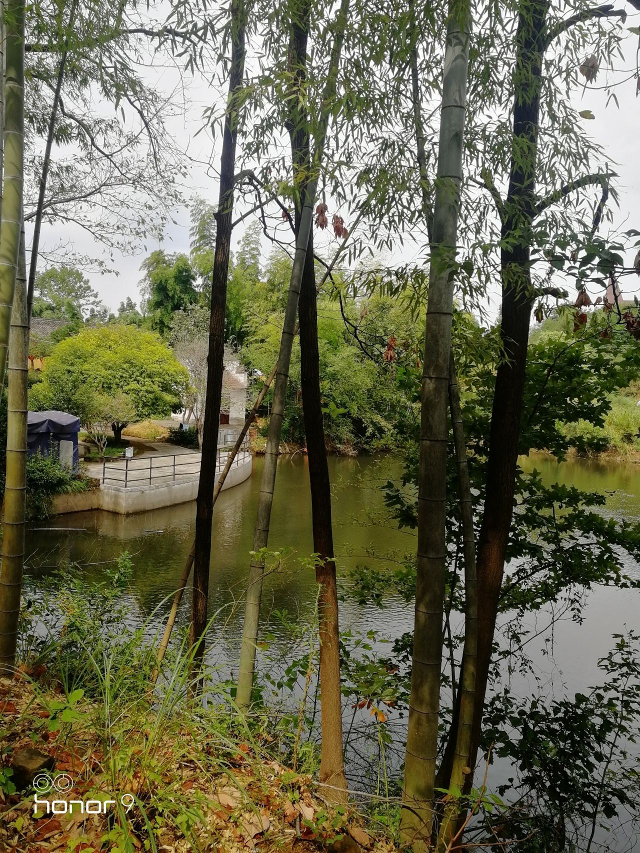 巍山屏公园旅行图片 3