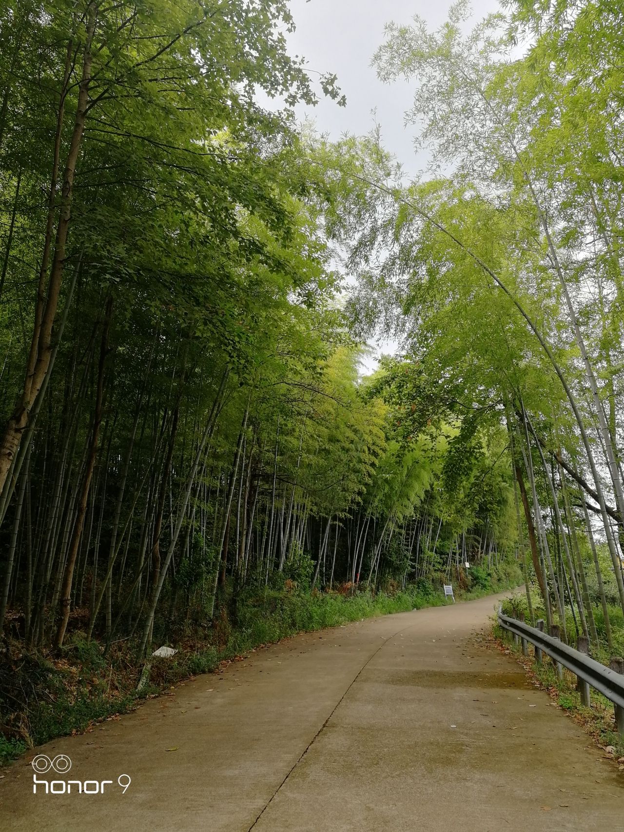 巍山屏公园旅行图片 2
