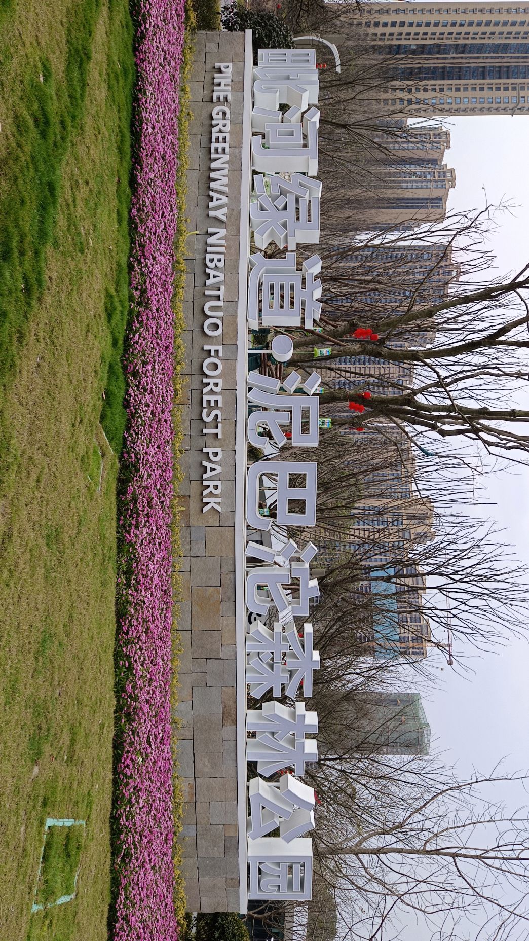 泥巴沱森林公园旅行图片 1