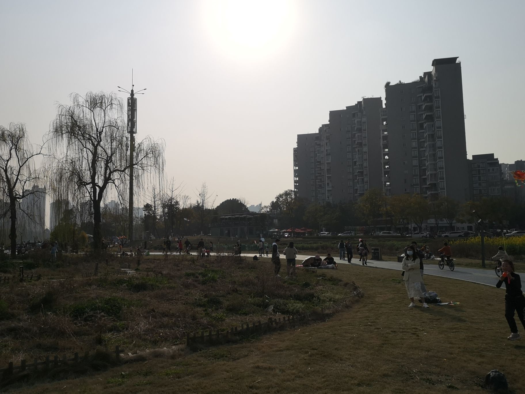 泥巴沱森林公园旅行图片 3