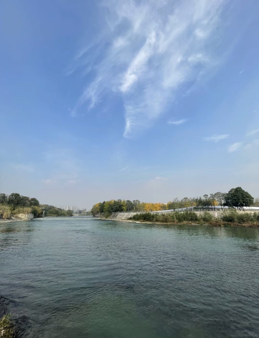 泥巴沱森林公园旅行图片 2
