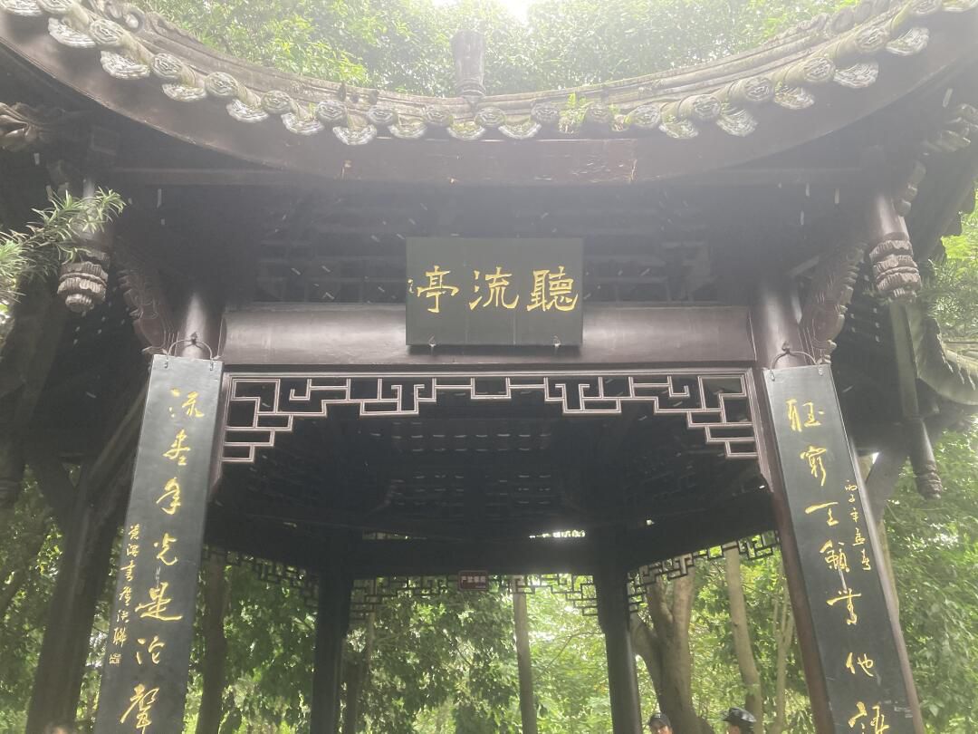 泥巴沱森林公园旅行图片 1