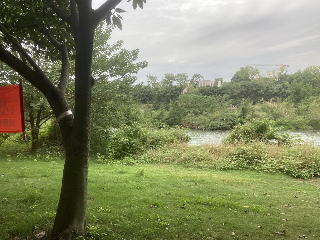 泥巴沱森林公园旅行图片 2