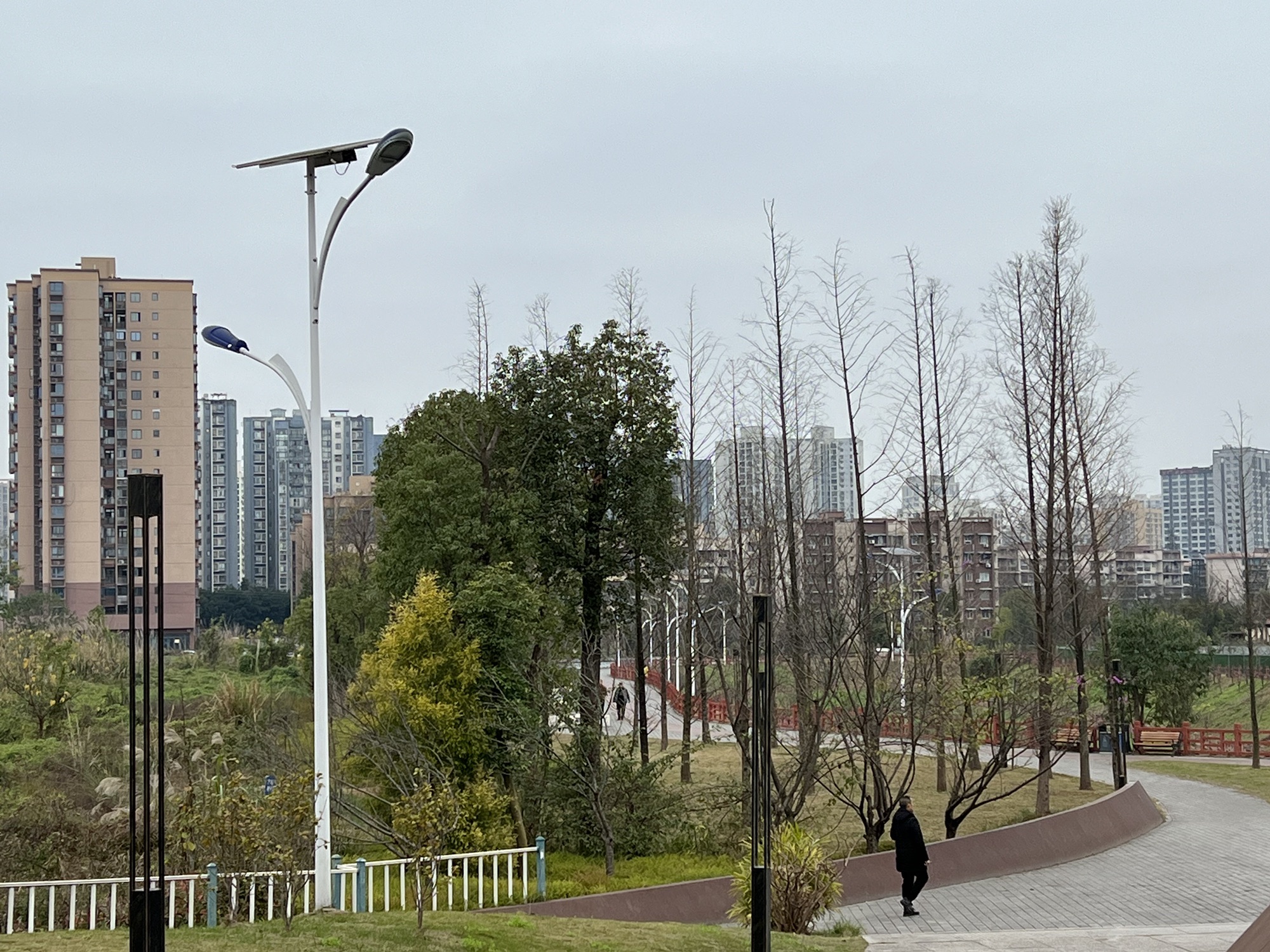 虎电滨河公园旅行图片 2