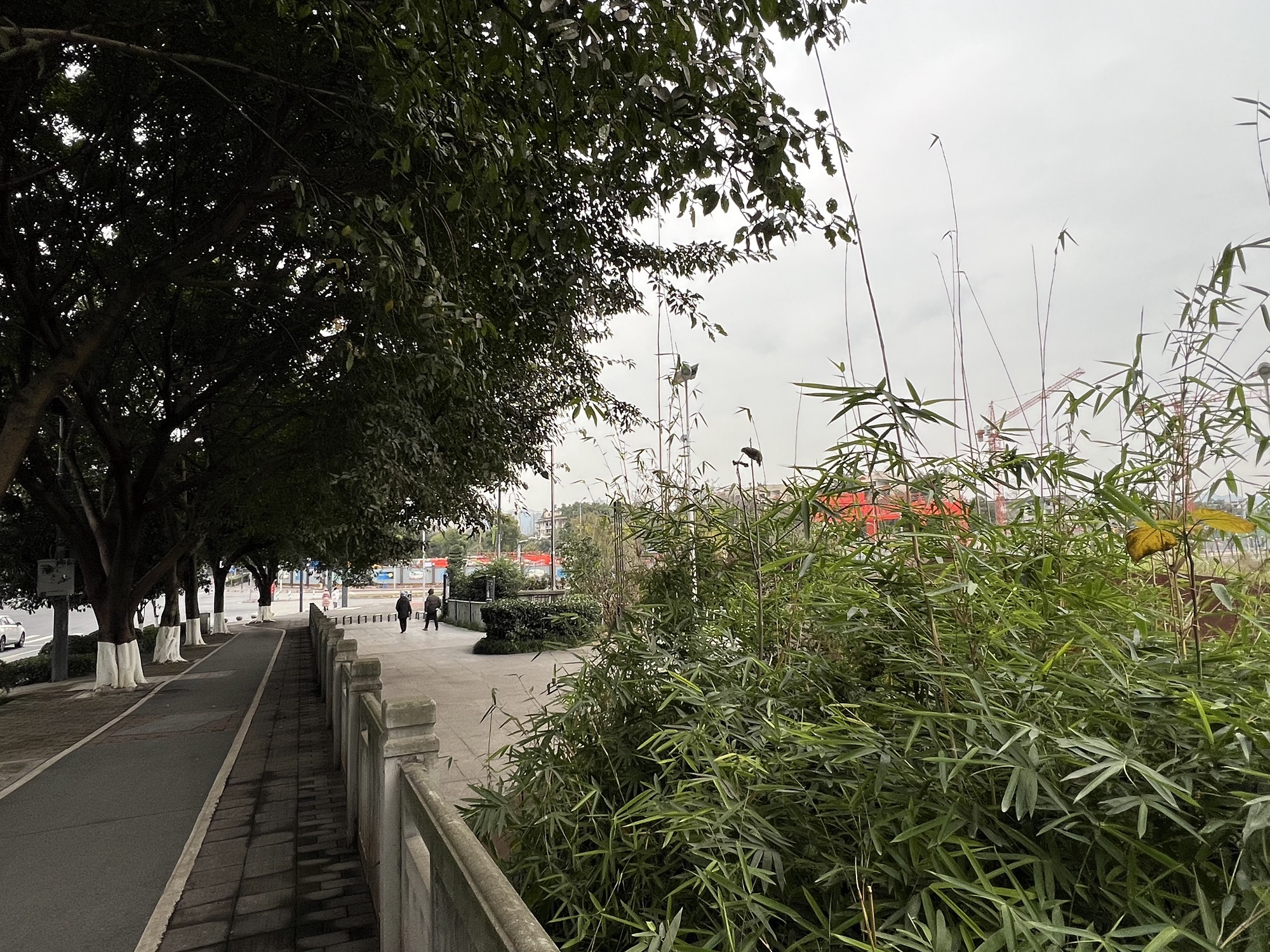 虎电滨河公园旅行图片 3
