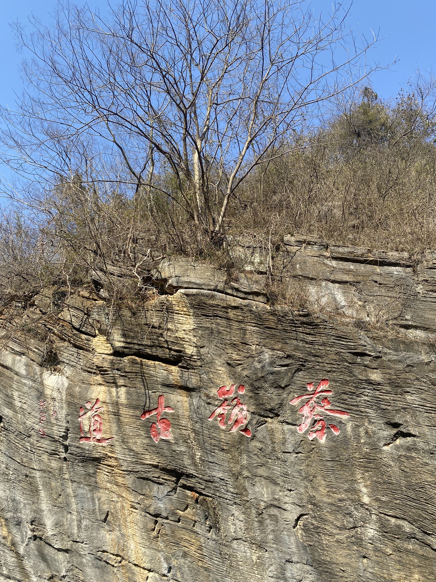 蔡岭古道旅行图片 1