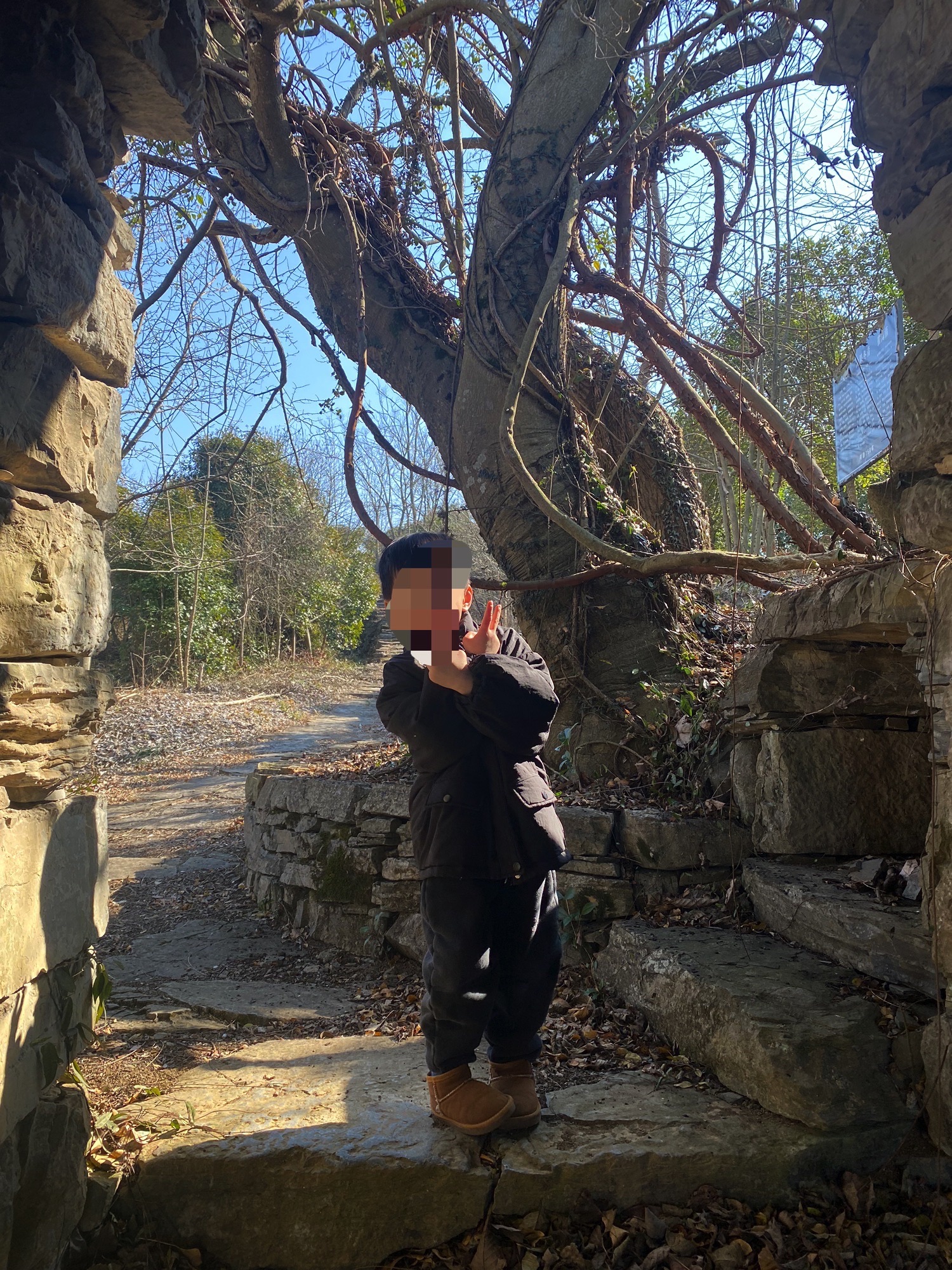 蔡岭古道旅行图片 2