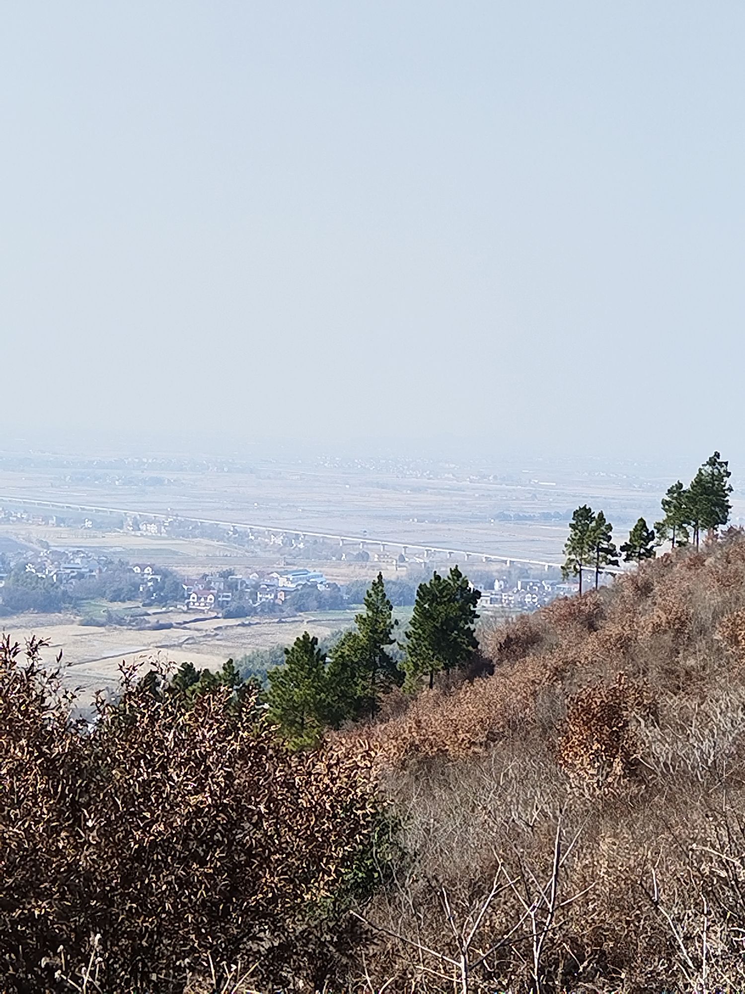 大莪山旅行图片