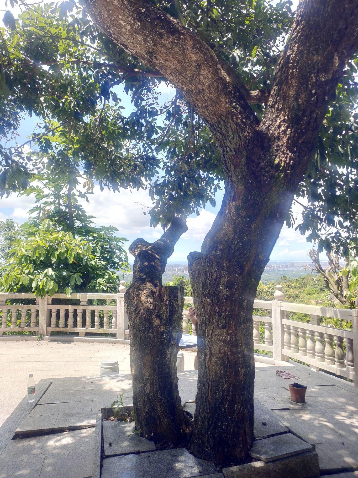 宝峰岩旅行图片 3