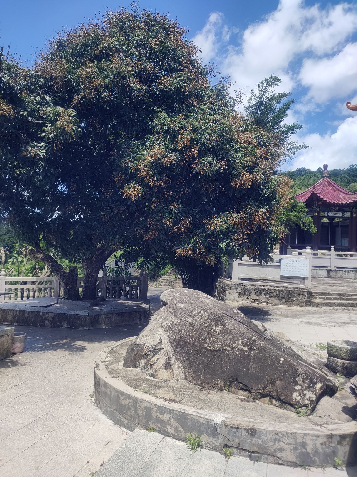 宝峰岩旅行图片 2