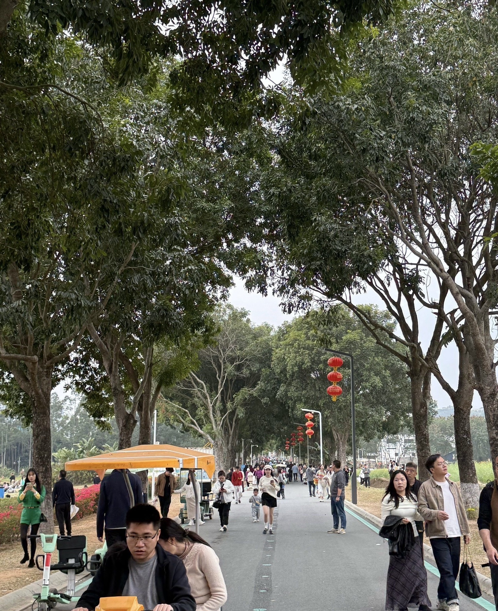 华侨城光明欢乐田园旅行图片 2