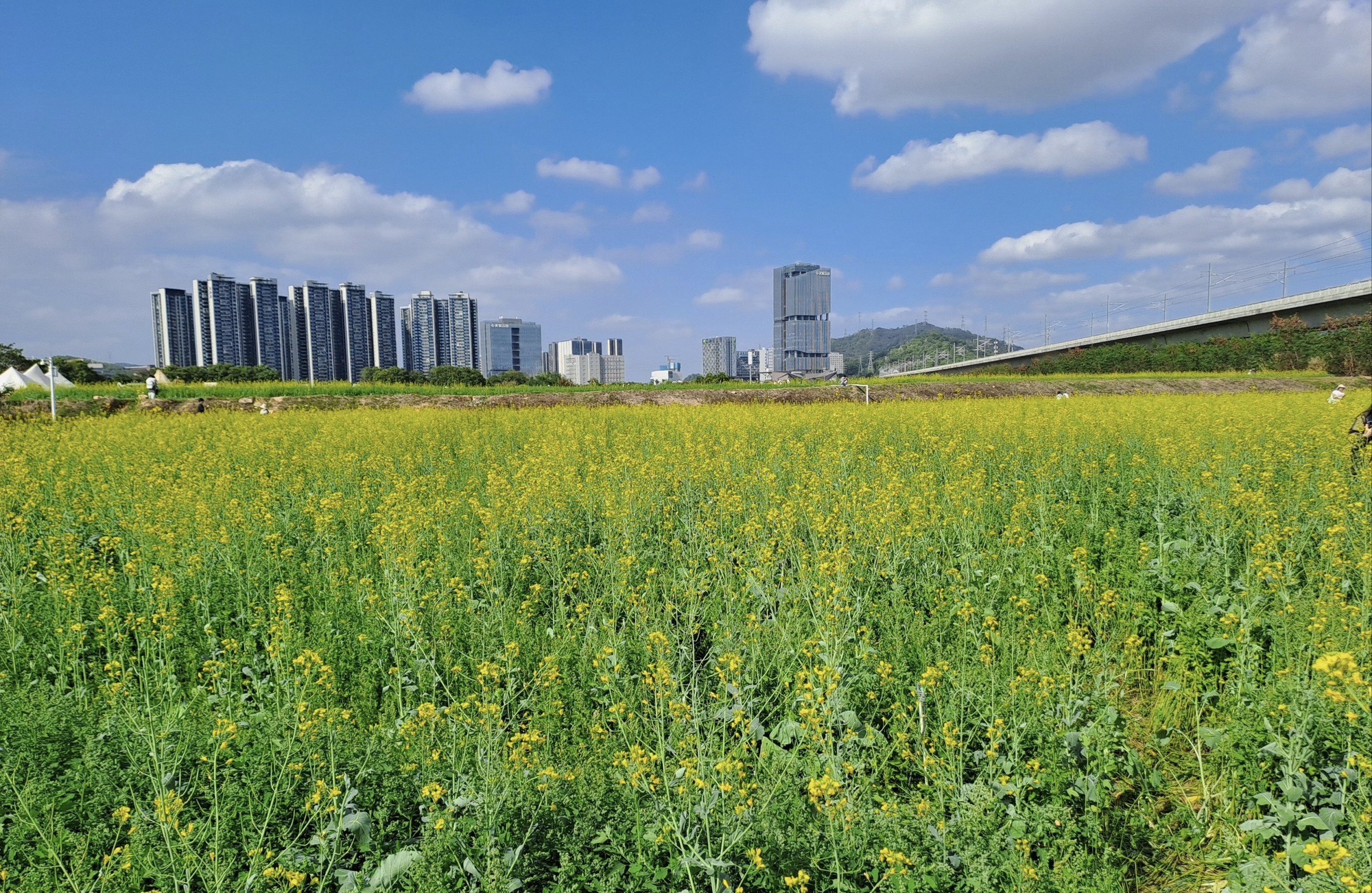 华侨城光明欢乐田园旅行图片 1