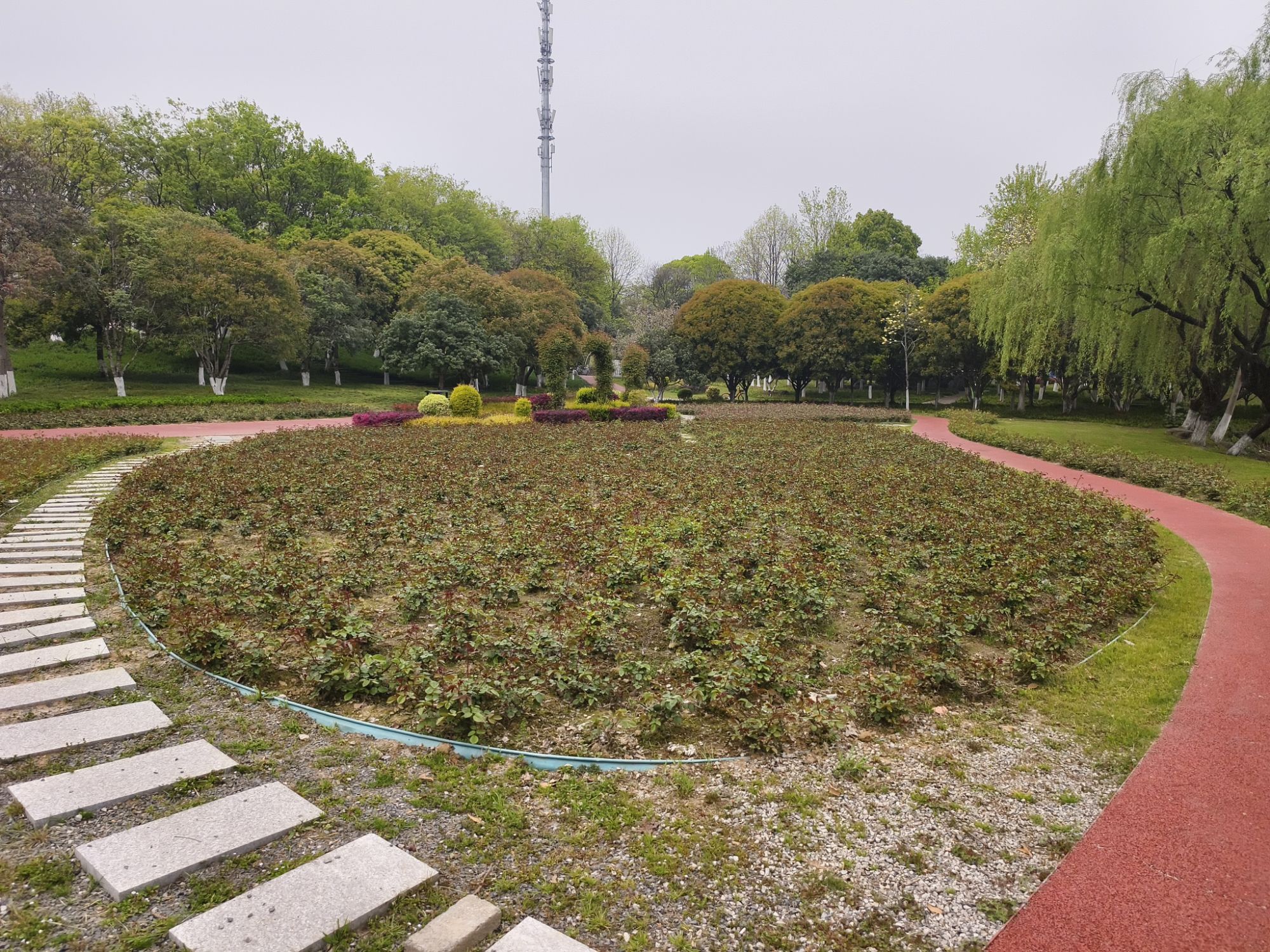 生态湿地公园