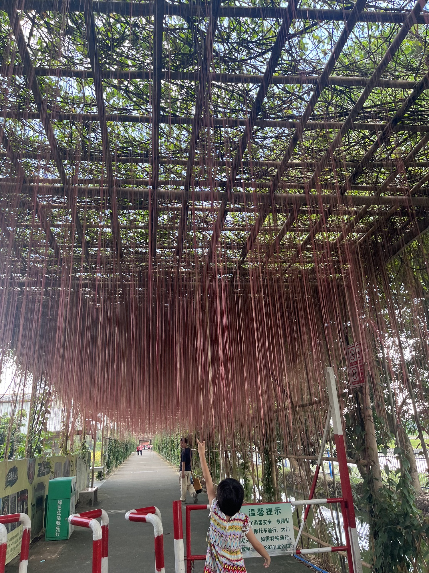 东涌绿道旅行图片 2