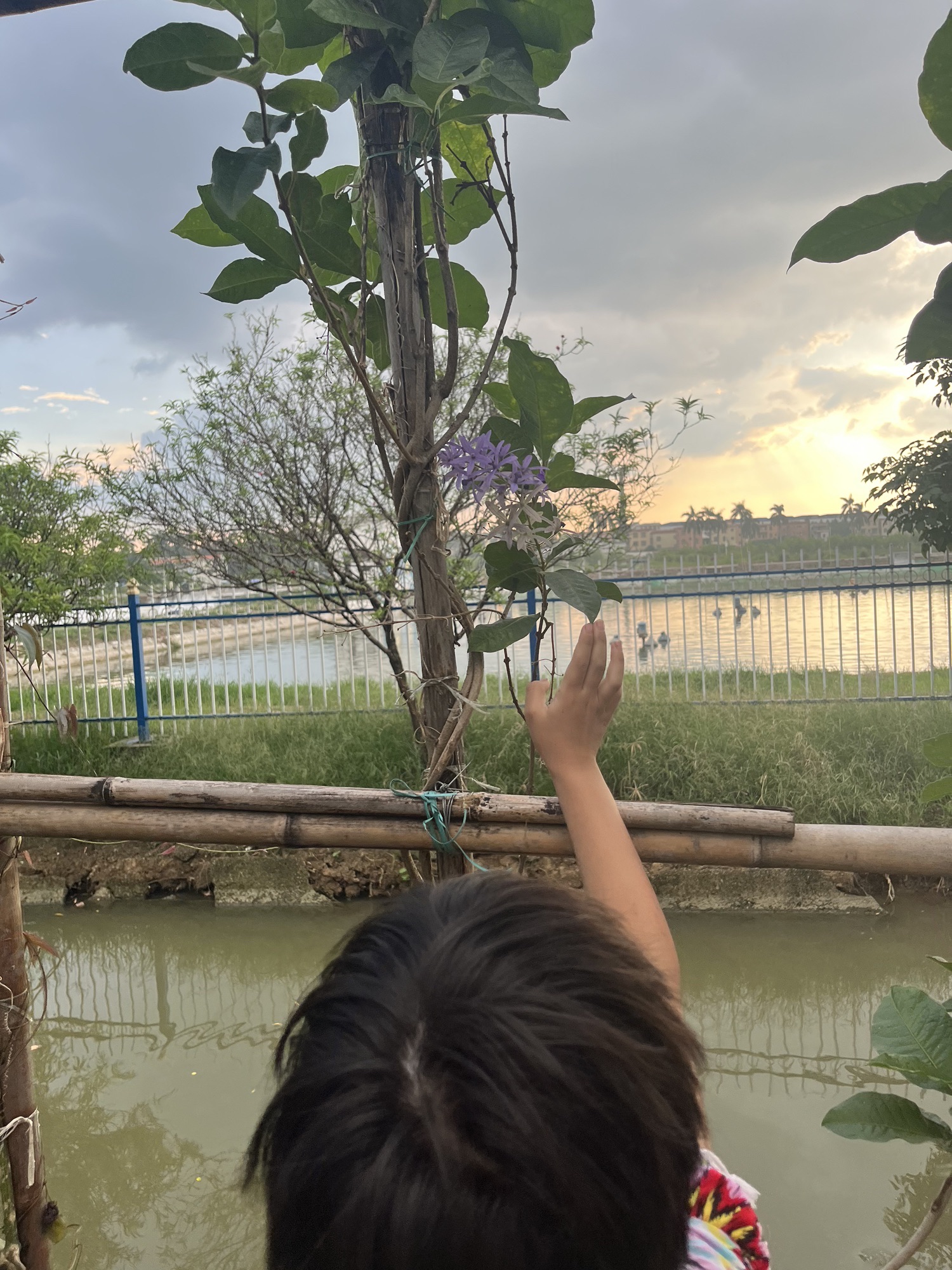 东涌绿道旅行图片 3