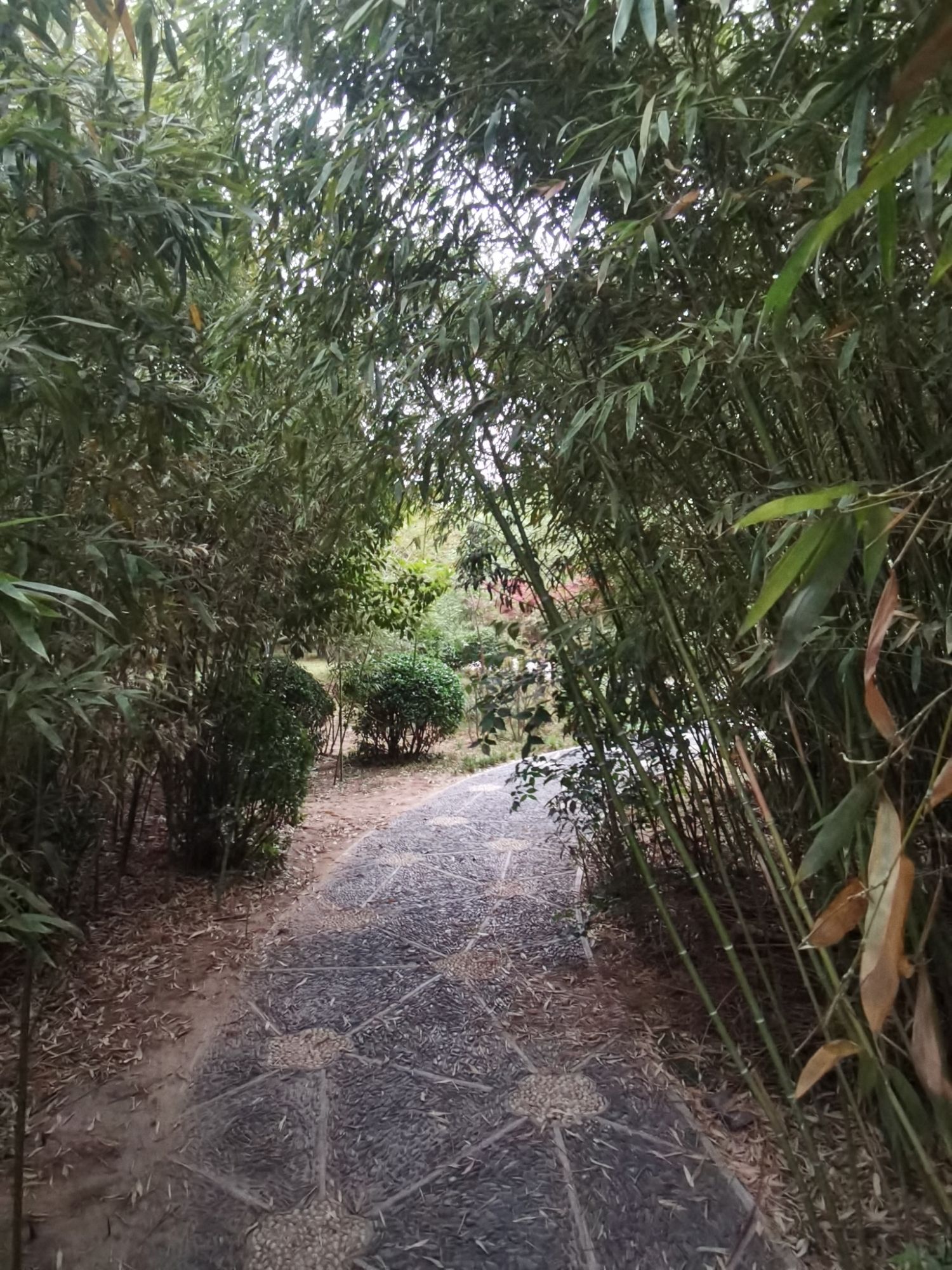 中国园旅行图片 3