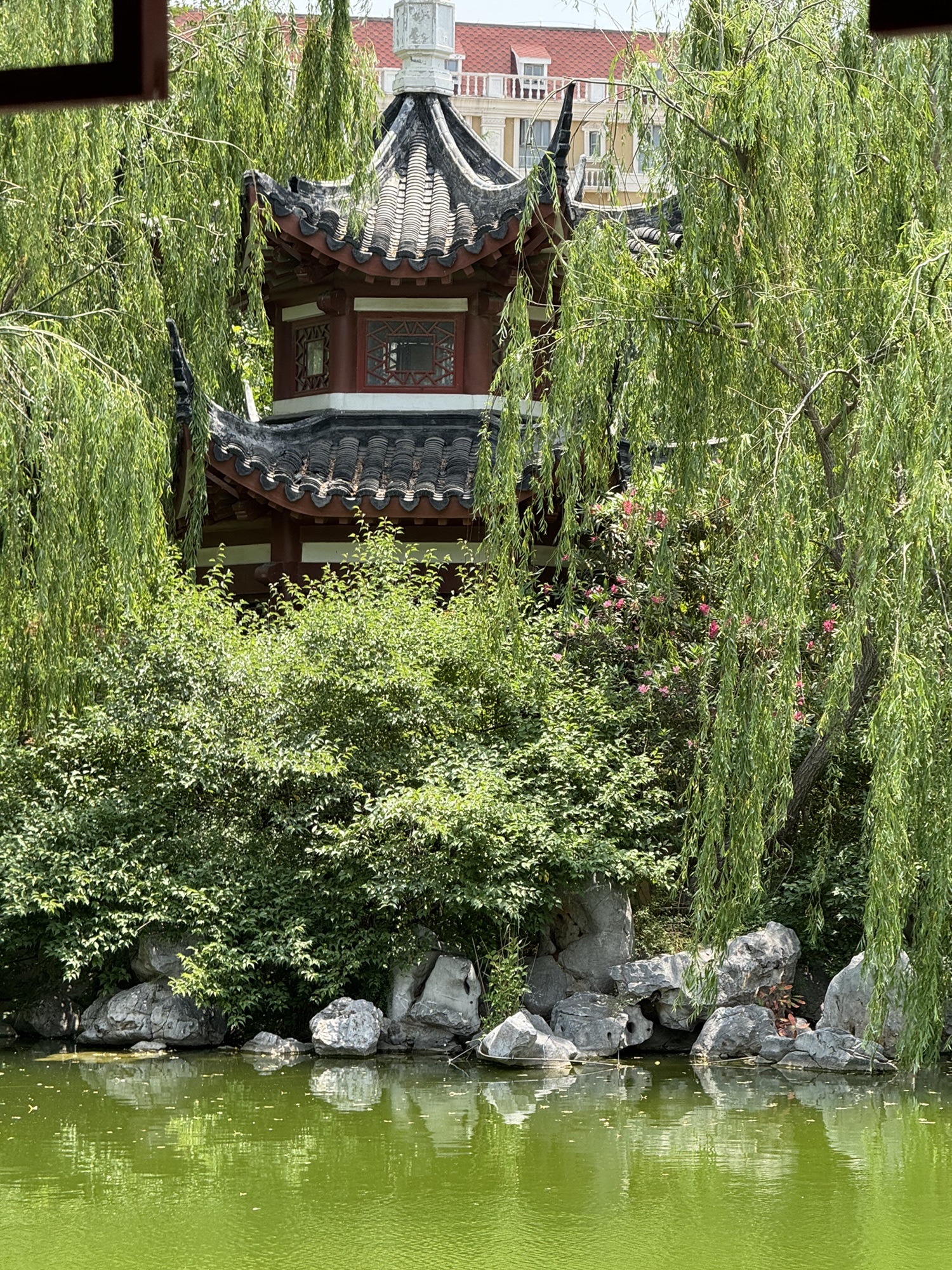 中国园旅行图片 3