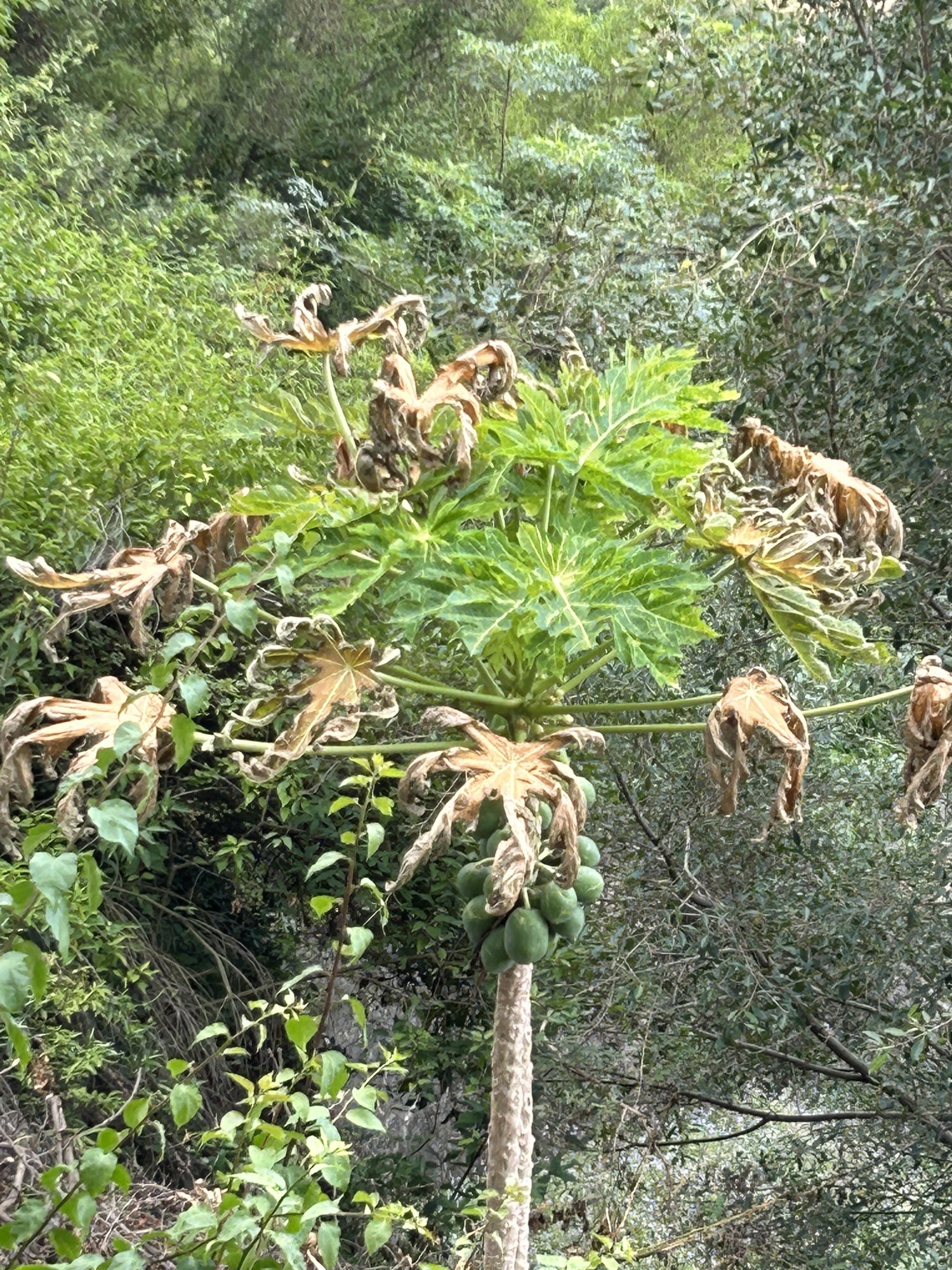 石壶岩旅行图片 3