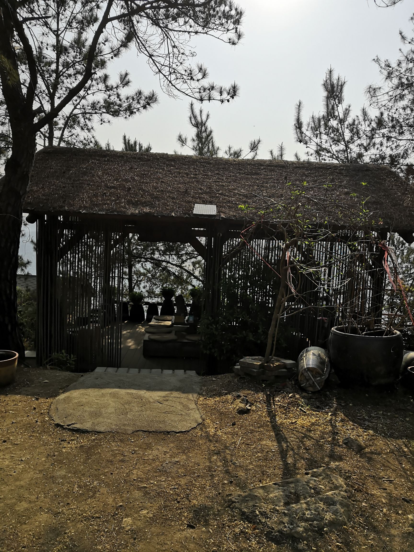 佛顶山旅行图片 3