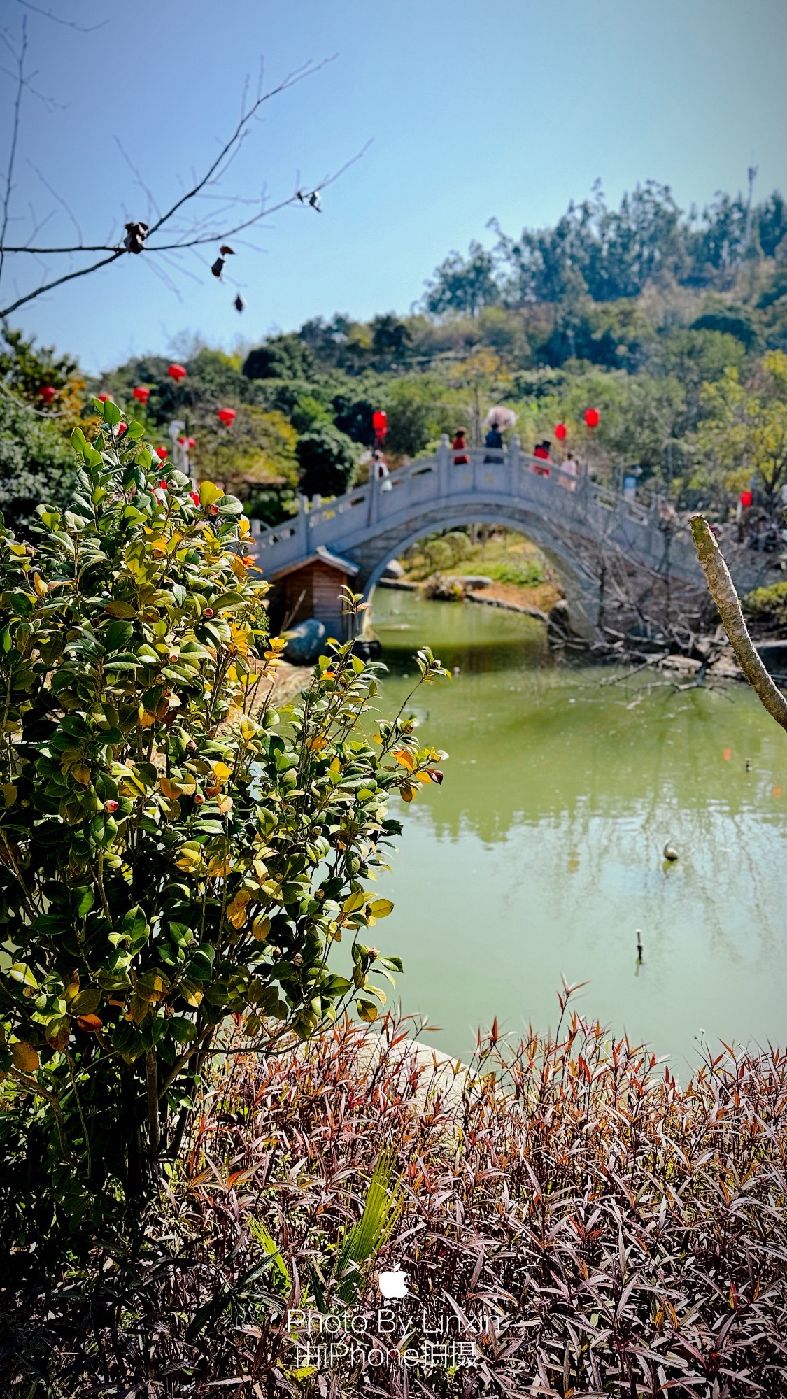 塔斗山公园旅行图片 2