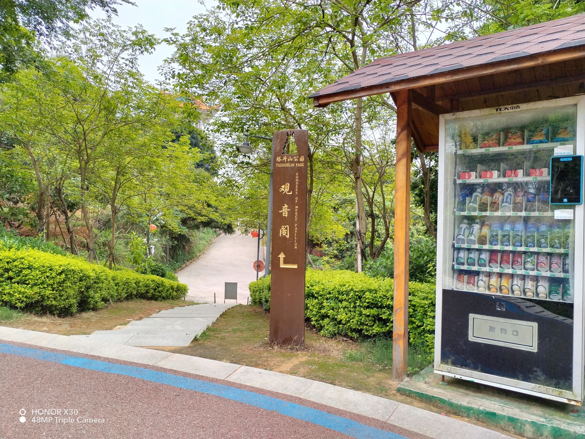 塔斗山公园旅行图片 2