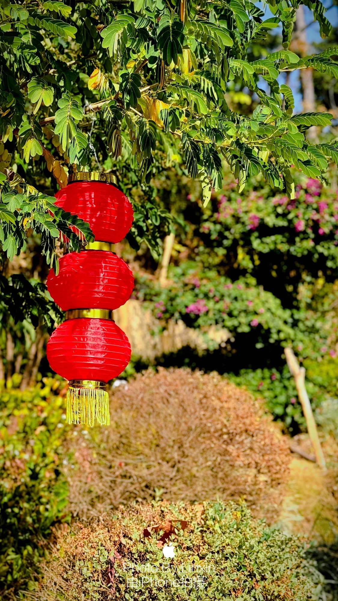 塔斗山公园旅行图片 3