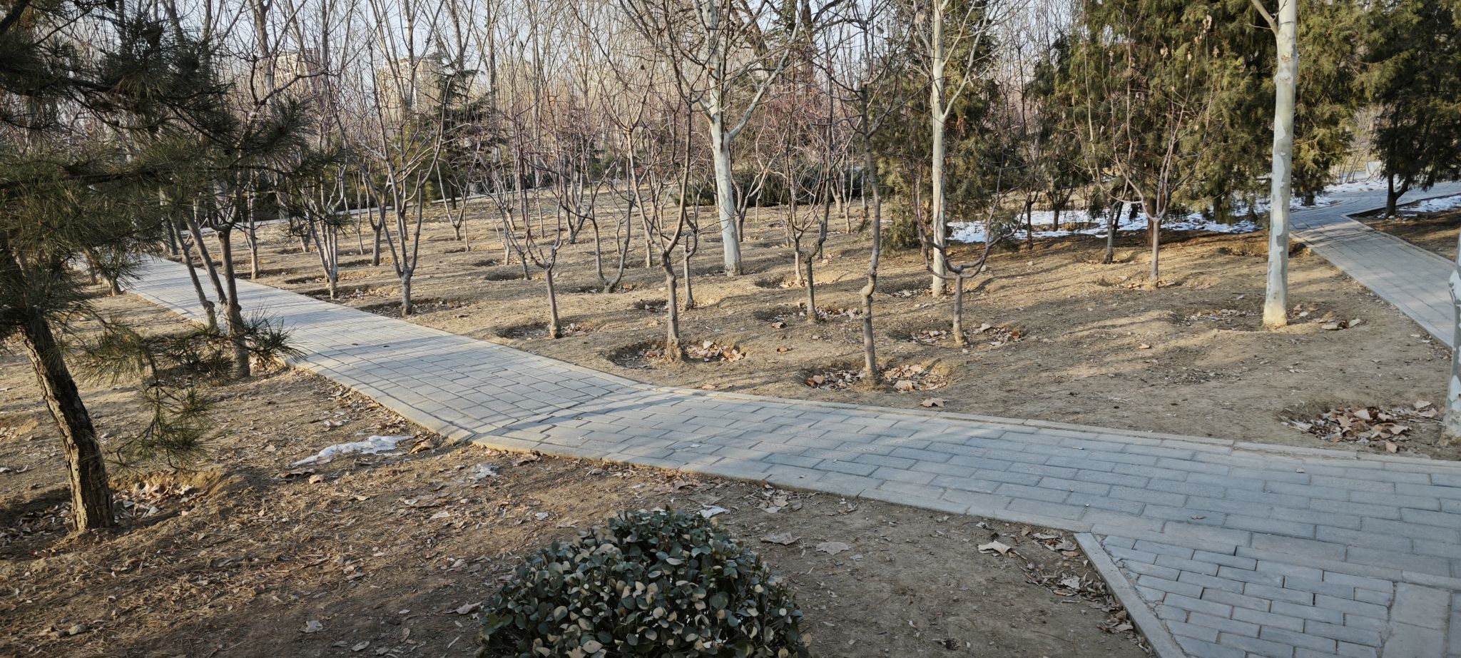 杨庄公园旅行图片 2