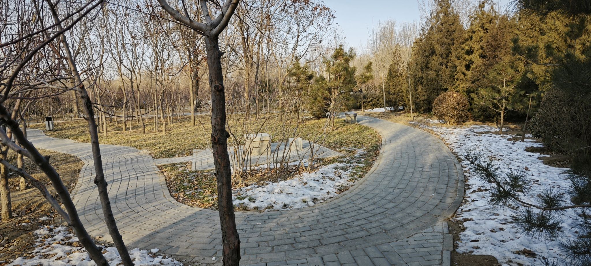 杨庄公园旅行图片 1