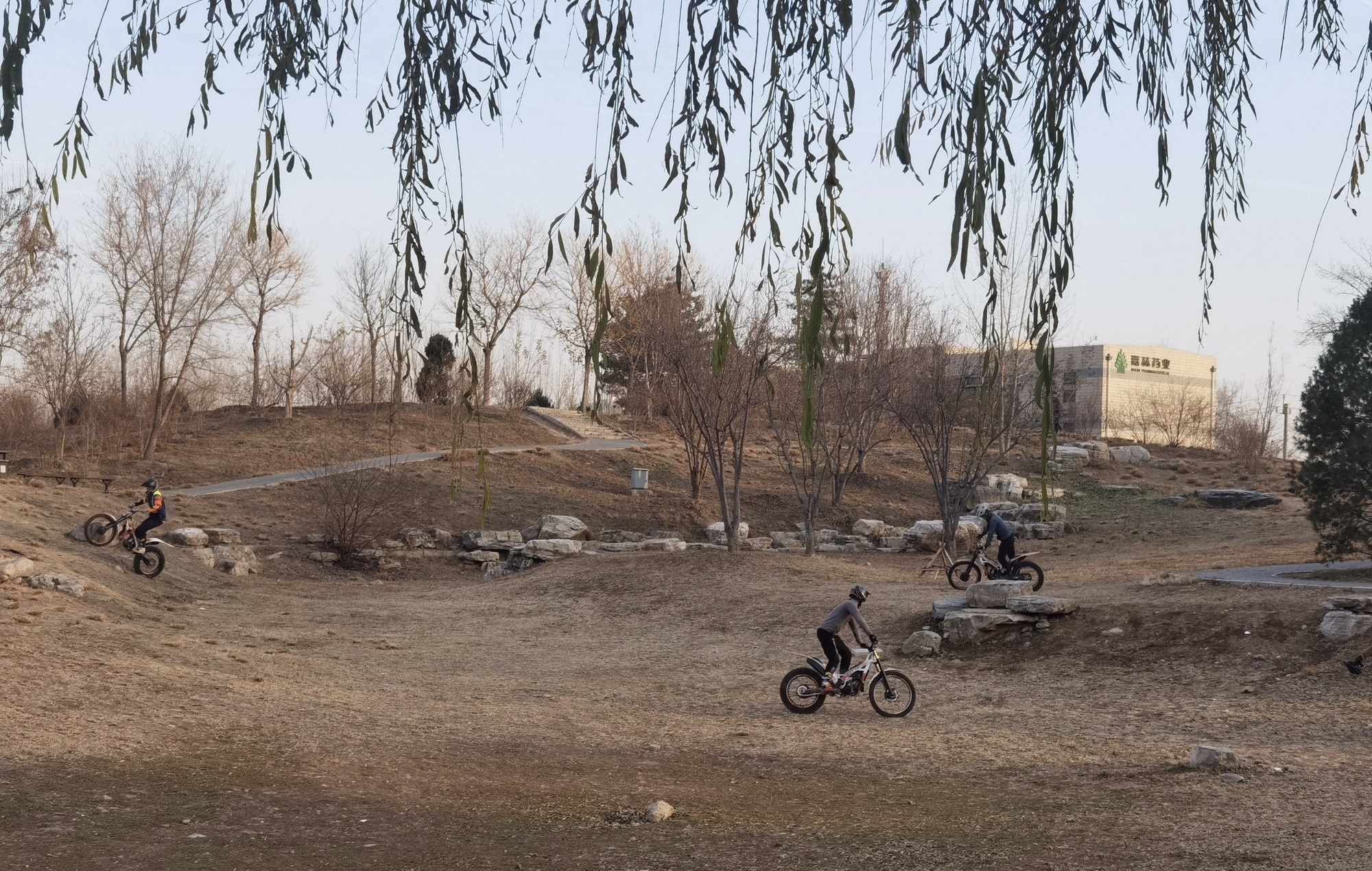 广渠路公园旅行图片 3