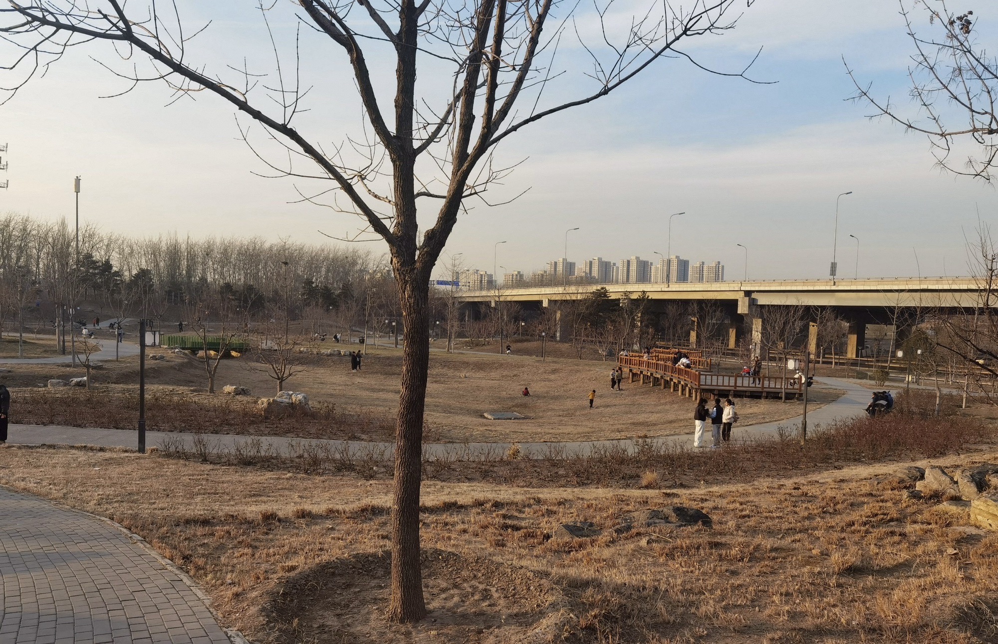 广渠路公园旅行图片 2